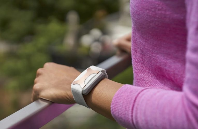 Can a Wearable Device Reduce Stress?
